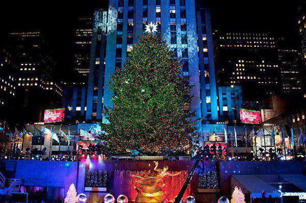 男友失约后她死在雪山之下：+后续+结局最新章节（霍祁钺陆温杳）全文免费阅读无弹窗大结局_男友失约后她死在雪山之下：+后续+结局免费阅读（霍祁钺陆温杳）