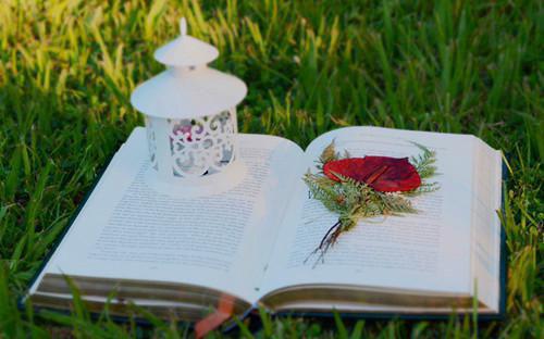 霍萧北阮流云何子枢和谁在一起了 红豆相思无道是短篇小说