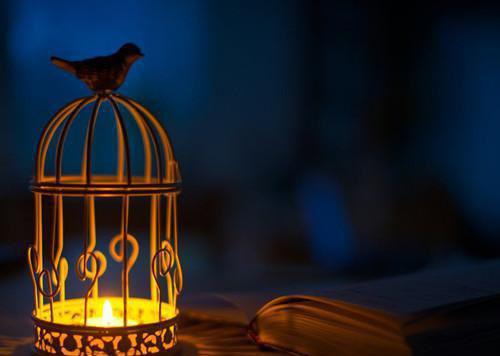 谢夜程小说免费阅读最新章节 真千金是纯爷们知乎小说