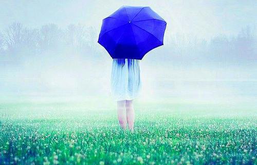 安凝周司谨陆仪免费阅读最新章节 错爱终留不住小说安凝周司谨陆仪