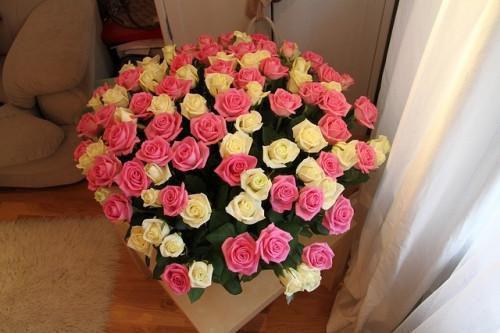 (番外)+(全文)山遥路茫茫:番外+完结纯净无弹窗版+免费下载阅读_(鹿青宁商彧鹿青宁)山遥路茫茫:番外+完结纯净无弹窗版最新章节列表_笔趣阁（鹿青宁商彧鹿青宁）