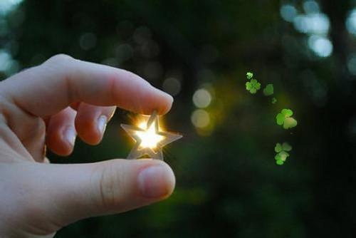 夏小姐裴舒韵顾添呈小说叫什么 夏牧场短篇小说