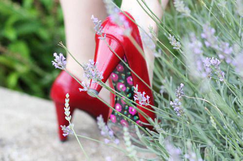 苏辰林清婉赵恒最新章节更新时间 不见他的月光免费阅读全文