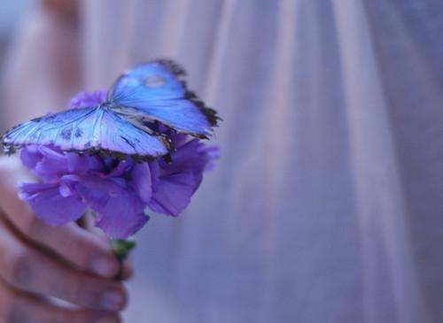 南意傅寒年最新章节更新 小青梅喜欢孩子,丁克老公亲自上阵助她当妈小说免费阅读全文最新章节