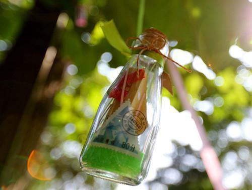 姜闻曦时阔宁小可小说免费阅读全文 协议婚姻倒计时,他急着去见心上人小说全文免费