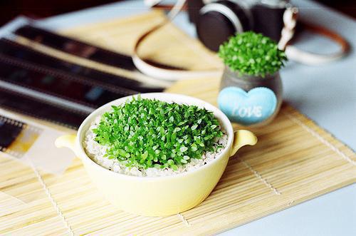 轩轩月宝的最新章节小说 弹幕说我是炮灰女配但是我不想死结局