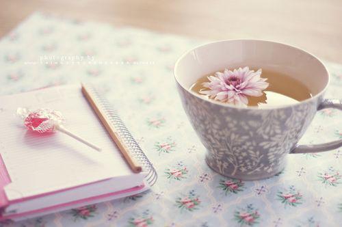 念七安段月汐结局 社恐绝世美男子网恋失败后知乎念七安段月汐