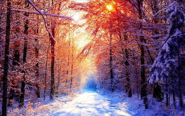 陈若善结局 我靠众筹登基最新章节更新