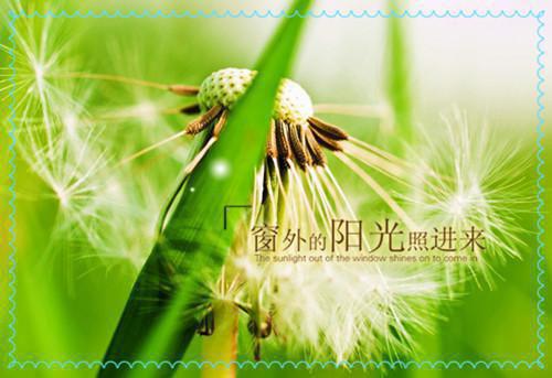 周芸韩秀兰高志虎结局 被拐失忆二十八年，农妇背景惊人笔趣阁