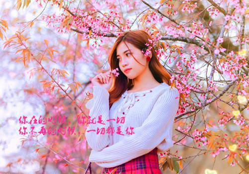 云雪柔免费阅读最新章节 我云贵川渝小镇做题家,在高校伪装贵族:番外小说完整版免费