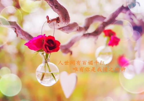 宁湘云商野顾安小说名字 谁愿与你重蹈覆辙:后续全文免费阅读