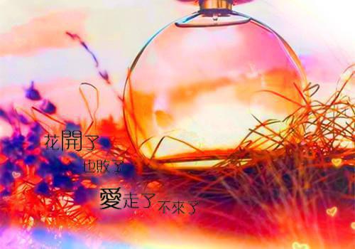 林见莞顾云峥叫什么小说 又见凤凰花满地小说完整版免费