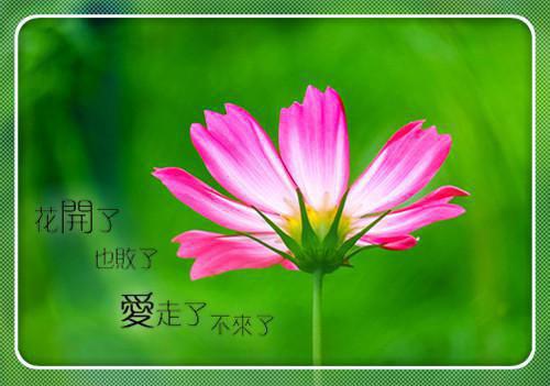 全文浏览我妈让我替继兄顶罪后,我反手把他送上断头台(陈晓昕张翠陈浩)_我妈让我替继兄顶罪后,我反手把他送上断头台(陈晓昕张翠陈浩)小说结局免费阅读