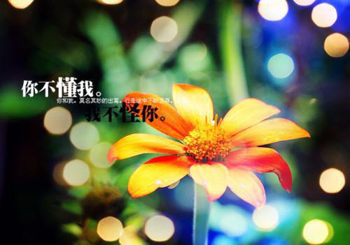 苏寒熙最新章节更新 祁行云苏寒熙小说