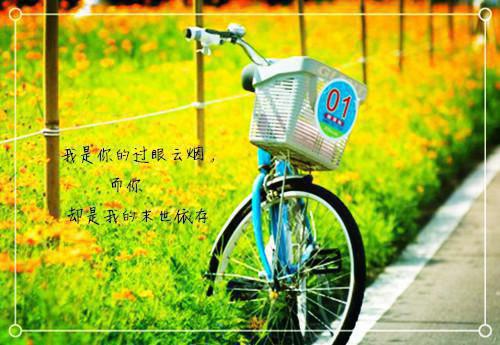 枝枝李东小说免费阅读 惊!豪门小公主她会算命最新章节免费阅读