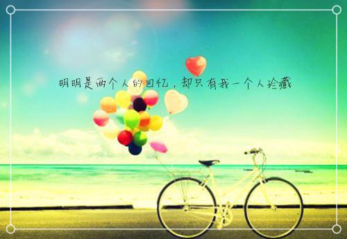 傅司南沈晚音周泰阳最新章节列表 七夕那天,我让老婆破产小说完整版免费