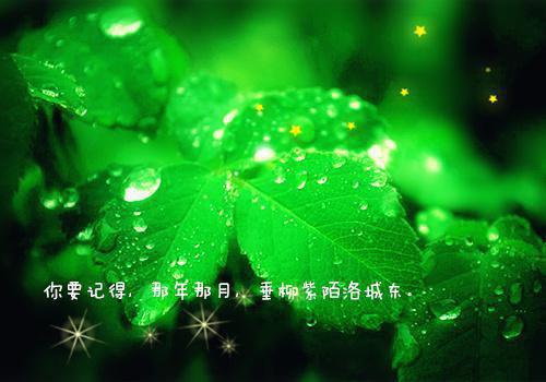 徐歆陈景的最新章节更新时间 她用嫁我的黄金换干弟弟留下免费阅读徐歆陈景小说