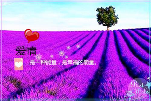 林芋江黎贺屿归什么关系 孤屿生林电子书