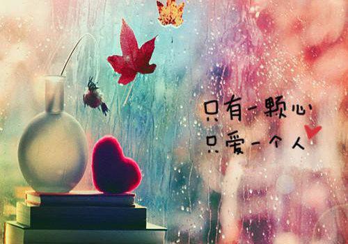 桑桑周宴小说叫什么名字 她的眼泪知乎小说