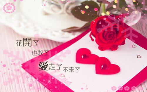 秦华悦谢琛结局 前妻不下堂:谢琛秦华悦谢琛全文