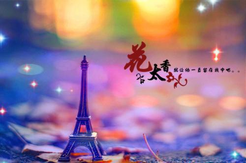 沈知意陆景川小说全文阅读(姐姐和我男友私奔后)隐藏剧情逐渐揭晓沈知意陆景川的情感纠葛与命运抉择！