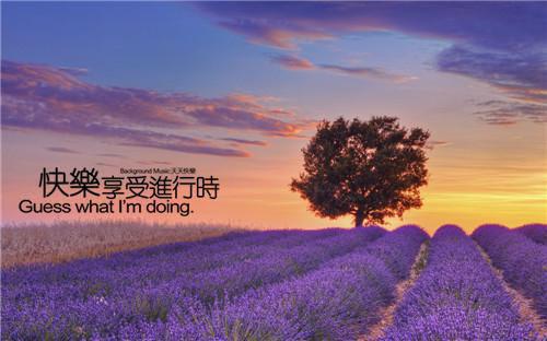 全文浏览亲爱的别跑（祁寒程笙）_亲爱的别跑（祁寒程笙）全文结局