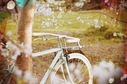 顾南笙傅晟大结局后续 港城旧事全文免费阅读