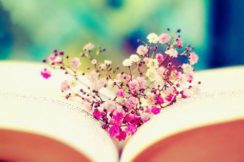 吴浩沈玲和谁在一起了 花光所有积蓄为儿子买房,儿媳却不让我住小说吴浩沈玲免费阅读全文