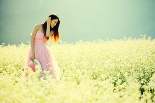 林月娘魏洵裴行之和谁在一起了 他高中状元，我另嫁他人笔趣阁