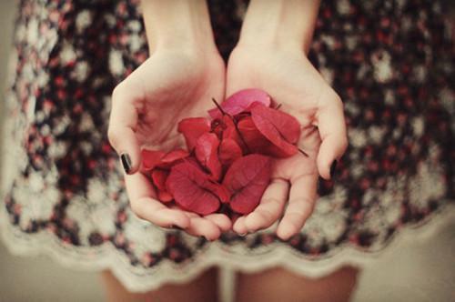 (番外)+(全文)萧瑟夜半风又起免费赏析全文无删减阅读_(裴若语贺誉沉 )萧瑟夜半风又起免费赏析最新章节列表_笔趣阁（裴若语贺誉沉 ）