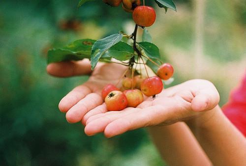 周念安宋瑾年黎浅初小说免费阅读 为了青梅,他污蔑我是杀人凶手在线阅读