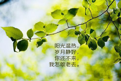 徐呦呦林薇结局 知道我头上的发夹三十万后,贫困生室友坐不住了笔趣阁最新章节列表