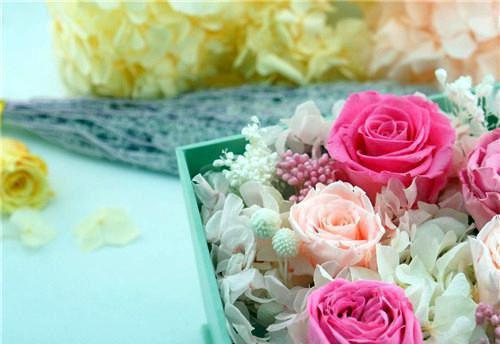 江乐言陆皓晨陆语瑶结局 分手后前任后悔了小说最新章节列表