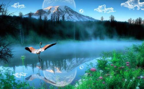 程念禾沈佑安最新章节更新时间 姐姐,你不再重要了小说正版阅读