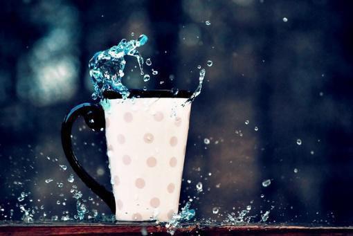 妮蔻妮蔻Nicole的小说系统逼我流产，我反手掏出八块腹肌陆燃沈聿全文在线阅读