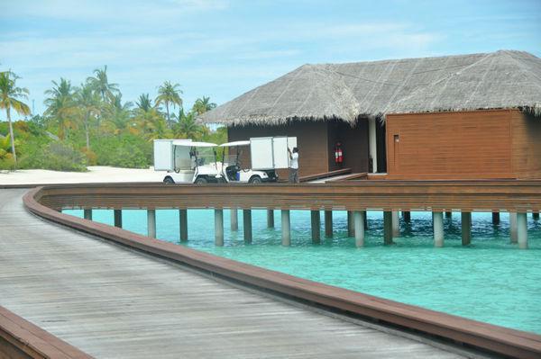 苏卿小说免费阅读 被强取豪夺多年后,我失忆了免费阅读小说