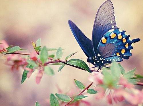 许心音谢峭小说结局 寻秋音笔趣阁最新章节