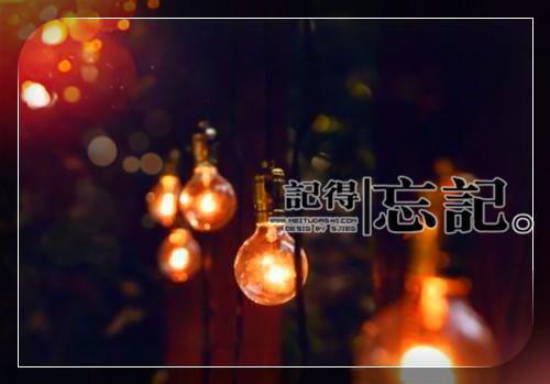 裴盼月姚静安韩越小说 我解甲归田后,号称算无遗策的公主慌了小说全文阅读