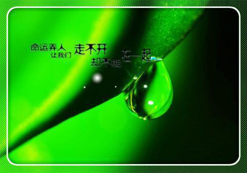 月月浩浩和谁在一起了 脑癌失忆后，我不恨妈妈了完整版