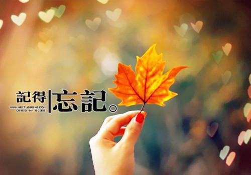 (番外)+(全文)若我沉溺于你的渊陶屿澈小说全文txt免费下载阅读_(沈若汐陶屿澈)若我沉溺于你的渊陶屿澈最新章节列表_笔趣阁(沈若汐陶屿澈)