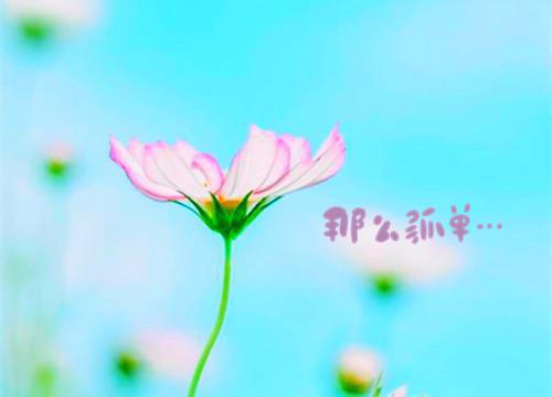 我娘春桃和谁在一起了 温柔小姨杀了我爹的宠妾后完整版