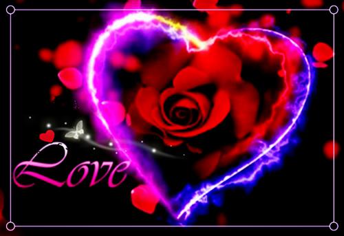 舔什么校花啊,学习不香吗全文小说江城洛小璃小说在线阅读