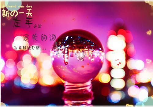 沈知意陆景川小说免费阅读 姐姐和我男友私奔后笔趣阁最新章节