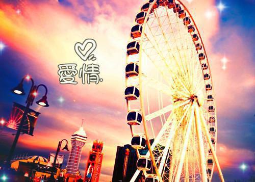 江闻舟何雨桐许铭达是哪部小说 收到红玫瑰后，我让老婆破产了小说正版免费阅读