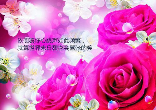 陈默林若薇苏茜什么关系 穷人除了自尊心什么都没有小说完整版免费