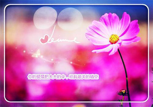 林致远苏婉婷傅闻笙笔趣阁 未婚妻为雇佣兵竹马解情毒后：后续小说正版阅读