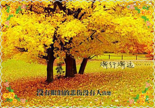 暖阳之后再无你我抖音小说-陆承洲乔芷希陆右右顾言生无删减阅读