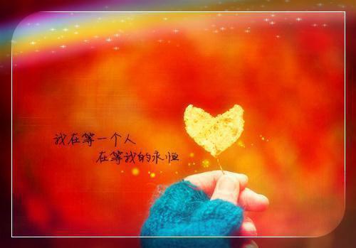 杜青蘅沈湛笔趣阁免费阅读 青梦幽情男主杜青蘅沈湛小说