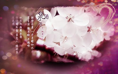 宁蓁祁野笔趣阁免费阅读 宁蓁祁野夏晴完整版