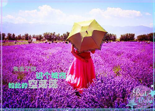 江妍月顾屿舟沈以安叫什么小说 知道我有白月光后影帝他又争又抢知乎小说